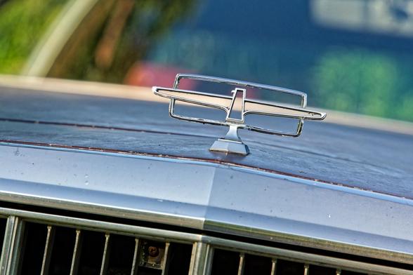 Near the center is a slanted Thunderbird hood ornament on top of a mroon hood with chrome below and a little bit of grille with the windshield visible and really blurred out green foliage behind