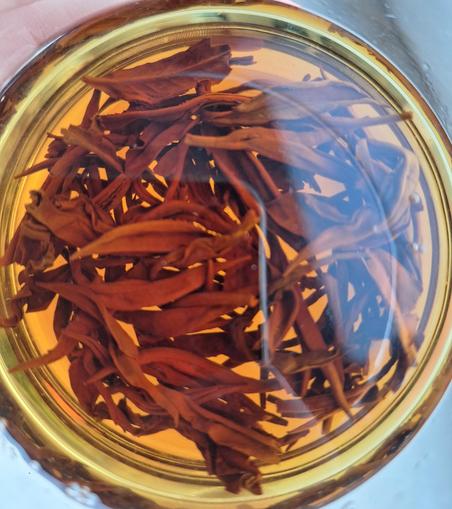 Black tea leaves in golden tea liquid