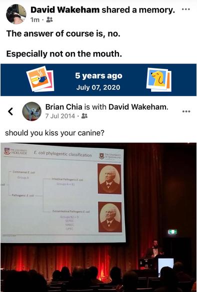 A Facebook memory of five years ago of a “live” Twitter post It says not to kiss your dog on the mouth, above a photo of a lecture slide on E. coli phylogeny at an international microbiology conference, the author is presenting at. 



Alternative alt text: A Facebook memory of a live tweet in 2014 declares, “The answer of course is, no. Especially not on the mouth,” as a gentle warning floats above a dimly lit lecture hall, where a glowing slide on E. coli casts soft light over attentive silhouettes, blending science with humour. 