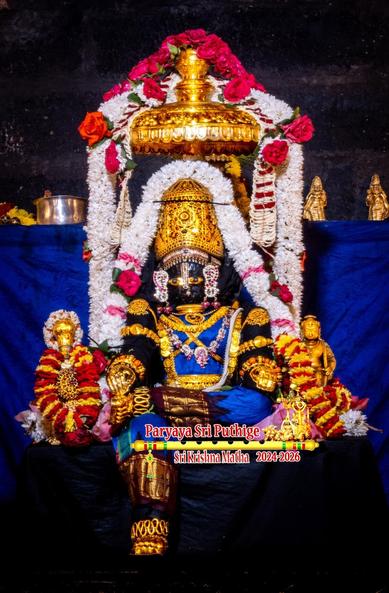 Idol of Hindu deity Krishna in bright blue seated with right leg down from the seat, left leg folded at the knee and placed over the right knee; wearing gold shoes, gold palm coverings, gold crown, and several gold ornaments. A gold umbrella overhead. Dense string of white flowers fall on either side of the umbrella down to the seat behind Krishna. Strings of white flowers around Krishna from his left waist to his right waist, over his crown.

Two small gold idols, one on either side of Krishna, each with a string of red and yellow flowers around them.

Blue cloth background.