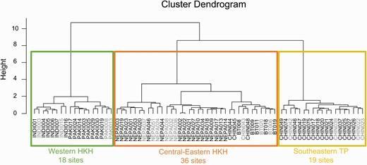 Cluster dendrogram derived from the DTW method.