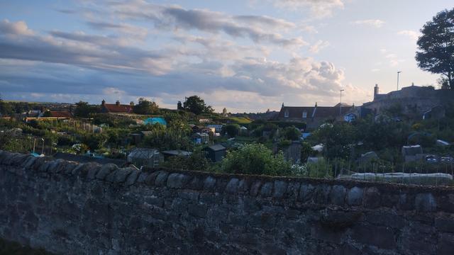 A photo of said allotments.