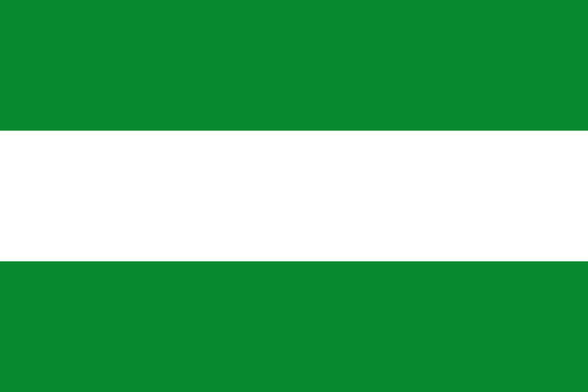 Flag of Los Ríos, Ecuador.