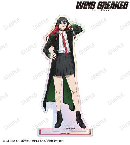Pre-Order Your Favorite WIND BREAKER Anime Merchandise Now!