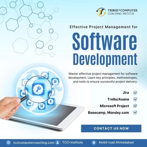 Effective Project Management for Software Development