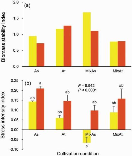 Differences in the BSI (a) and SII (b) of drought on A. spinosus and A. tricolor in the monocultural or in the co-cultivated conditions (the monocultural A. spinosus, As; the monocultural A. tricolor, At; the co-cultivated A. spinosus, MixAs; the co-cultivated A. tricolor, MixAt) under different levels of drought (light level of drought, yellow bars; heavy level of drought, red bars).