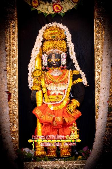 Idol of Hindu deity Krishna standing dressed in orange; wearing gold shoes, gold palm coverings, and several gold ornaments including a large necklace with a large lotus-shaped medallion. Holding a gold staff in right hand, left hand on left front waist. A string of white flowers shoulder-shoulder going over the crown. Black background.

Sides of a gold arch around Krishna are visible along with a string of white flowers along the sides of the arch.