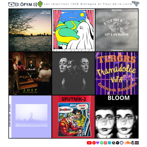 Semaine 28/2025

#rock #pop #folk #electro #jazz #prog #indus #experimental #indiemusic 
#bretagne #breizh #paysdelaloire 
#finistere #cotesdarmor #morbihan #illeetvilaine #loireatlantique #vendee #mayenne #sarthe 
#brest #quimper #lorient #vannes #saintbrieuc #rennes #roazhon #nantes #naoned #saintnazaire #chateaubriant #larochesuryon #cholet #angers #laval #lemans