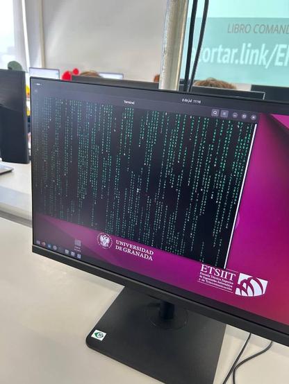 Código Matrix en la terminal 
