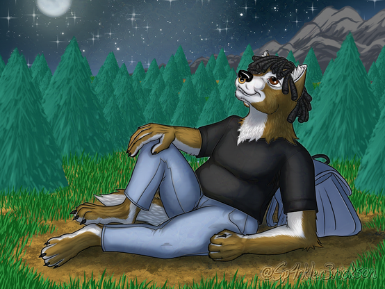 An anthropomorphic brown and white wolf with black dreadlocks and a nosering, wearing jeans and a black tee shirt, reclines against his blue backpack on a bare patch in the grass in a clearing among a pine forest at the foot of a mountain range.  He stares up into a night sky full of stars with a full moon.  His figure, along with the landscape, is bathed in silver moonlight.  An artist's signature is visible in the lower right hand corner of the canvas.