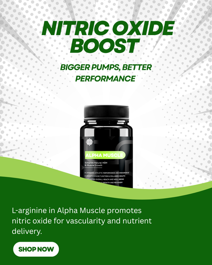 alpha muscle