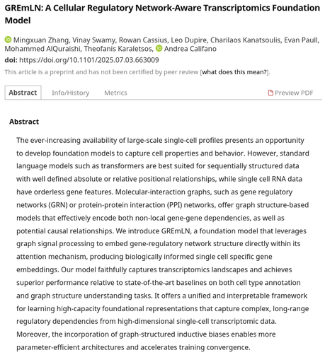 GREmLN: A Cellular Regulatory Network-Aware Transcriptomics Foundation Model
https://www.biorxiv.org/content/10.1101/2025.07.03.663009v1?rss=1

Comments
* really brilliant work: LLM + neural transformer architecture
* a molecular biologist, I long-thought (no time to learn / program) flux-based analysis / ODE models
* this type of modeling is foundational to in silico modeling
* huge proponent of graphs - add LLM, attention heads - brilliant! 😀 👍️ kudos