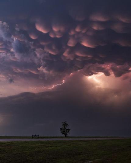 A lightning among mammatus clouds in the dark above a single tree on a featureless plain.