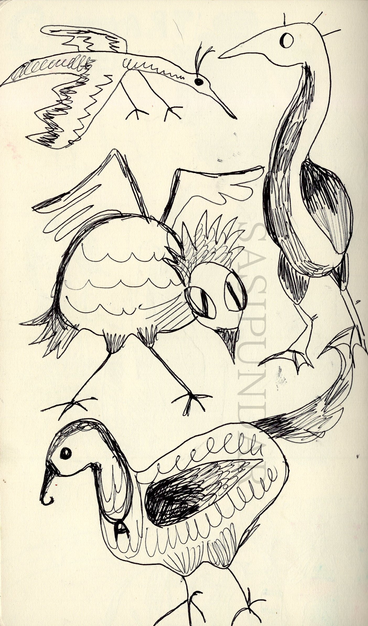 A sketchbook page filled with ballpoint sketches of birds. There is a skinny, almost dinasour like bird flying, beneath it is a round bodied bird with a threatening stance and big eyes, underneath her is a calm looking bird with a hooked beak, next to them is a bird with a very long neck and empty eyes.