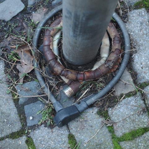 Zwei Ringschlösser, die um einen Straßenpoller auf dem Boden liegen. Das innere ist dicker und rostig, das äußere ist länger und plastikummantelt.