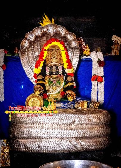 Idol of Hindu deity Krishna in green vest and blue pants seated on a bed of a silver 7-headed cobra ("shaesha"), legs stretched in a relaxed posture as if about to lie down, right elbow resting on a round "cushion", left hand resting on left thigh. Krishna wears gold shoes, gold palm coverings, gold crown, and lots of gold jewels. A string of red roses and a string of yellow flowers both laid shoulder-shoulder going over the crown. Blue cloth background.