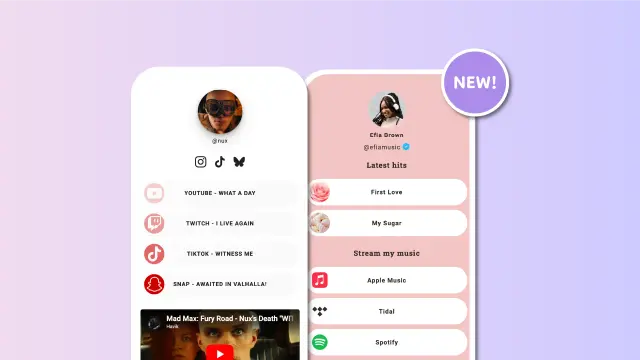 Screenshot showing icons used on Lnk buttons