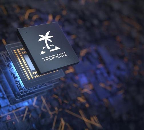 Image of chip with TROPIC01 inprinted 