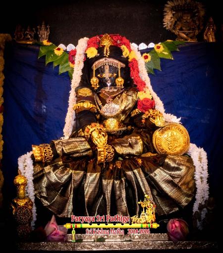 Idol of Hindu deity Krishna in brown seated with right leg down (not visible), left leg folded at the knee and placed over right knee, right hand resting on left ankle, left hand along a round cushion. Krishna wears gold shoes, gold palm coverings, and several gold ornaments. A string of whitle flowers shoulder-shoulder going over the head. A string of red roses starts from the right side of the head and flows down the left shoulder.

The saree has a very broad elaborately embroidered border which is pleated neatly and draped radiantly over Krishna's lower body under the folded left leg.

Blue cloth background. A string of green beetle leaves hangs behind Krishna.