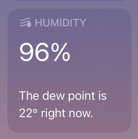 A screenshot from the Weather app showing 96% humidity at 6a. 