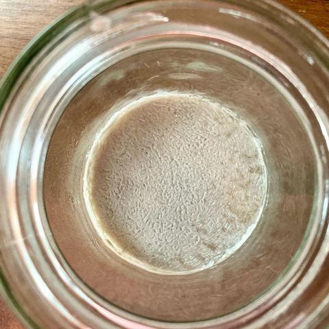 Closeup of the contents of a glass jar, it contains a sourdough starter with a film on its surface. the film has a noticeable squiggly or wormy pattern, which identifies it as Kahm yeast. 
