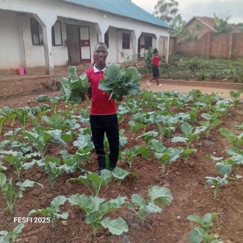 Our first vegetable harvest .