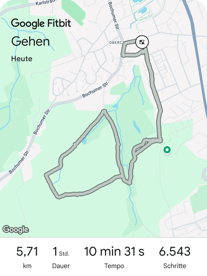 Fitbit-Screenshot.
