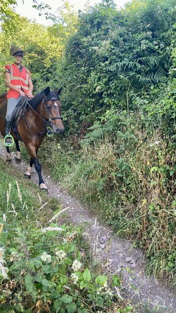 When you know you have to get in the hedge for this one. Horse and rider on the coastal path this morning 