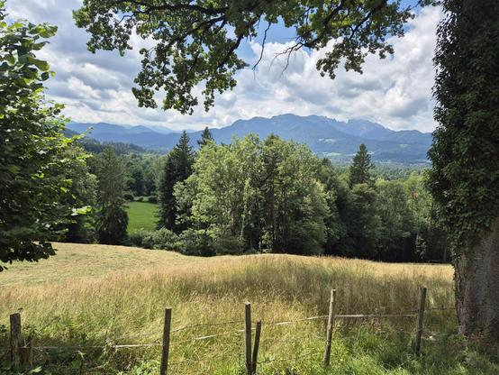 A picturesque scene of a field filled with lush green grass and scattered trees. In the background, majestic mountains rise up against a clear blue sky with fluffy white clouds. The foreground is dominated by the contrast of the dark trees against the bright white of the clouds and the black of the mountains. The trees are of varying sizes and shapes, adding depth and texture to the landscape. The overall composition is serene and tranquil, capturing the beauty of nature in its purest form. Thi…