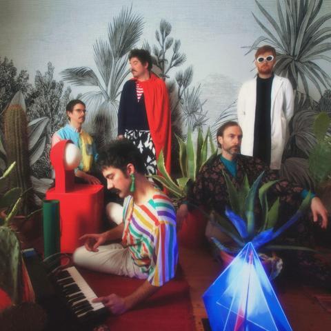 Bandfoto von Newmen in Umhängen und Kostümen neben Palmen.