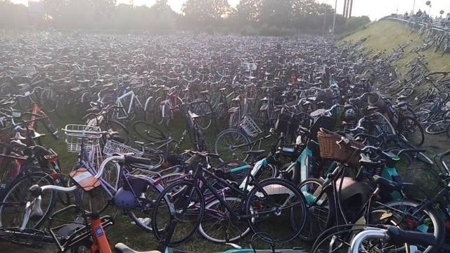 thousands of bicycles parked at the entrance to the festival