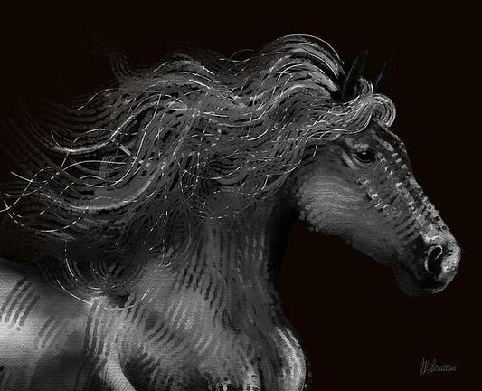 Handsome Fellow Wild Horse Portrait by Joan Stratton - paintingsbyjoan.com

A majestic horse with a flowing mane is depicted in black and white, conveying movement and grace. The dark background enhances the details and texture of the horse's mane and facial features.

Ether Art – A hand-drawn drawing / painting using the exciting modern art form, where art is created from scratch using a computer in lieu of a real canvas and paint, water colour, pastel, pencil, charcoal etc I create digital art from the ether, exactly the same as if I was starting with a blank canvas.
