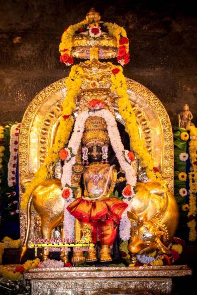 Idol of Hindu deity Krishna in a gold-colored vest and red fluffy pants; wearing gold shows, gold crown, and many gold ornaments; holding a gold-clad staff in right hand; standing on an ornate silver box. A gilded cow stands behind Krishna, head on Krishna's left but turned back to gaze at Krishna's feet. A dense string of white flowers hangs from the crown and flows down on both sides of Krishna, over the cow's back, down to Krishna's feet.

A gold arch with ornate broad sides behind Krishna, and a small gold umbrella attached to the top of the arch. A string of yellow flowers hang from the top of the arch and flows down to the floor on both sides of Krishna. A string of yellow flowers on top of the umbrella.