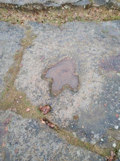 Footprint from a dinosaur