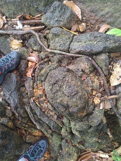 Rock with spherical weathering