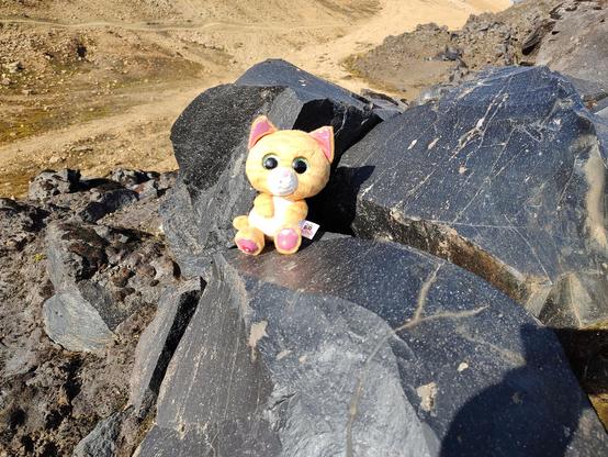 Simbalito sitting on a obsidian lava flow