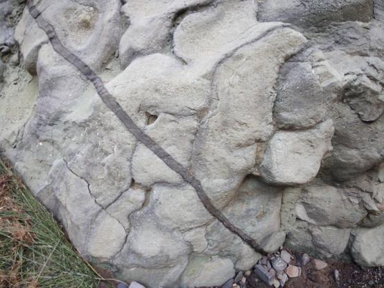 Pillow lava cut by a very thin dyke
