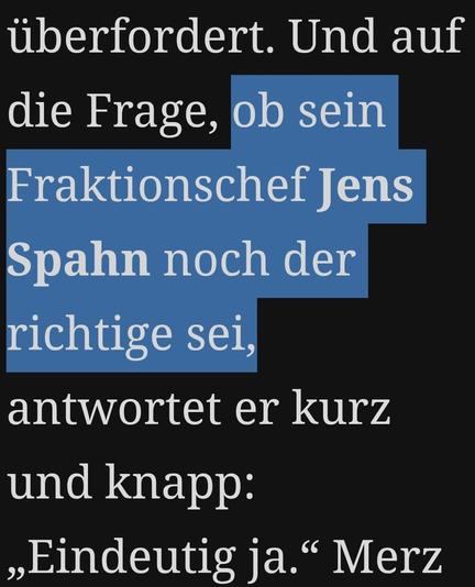 Table Media:

...auf die Frage, ob sein Fraktionschef Jens Spahn noch der richtige sei...