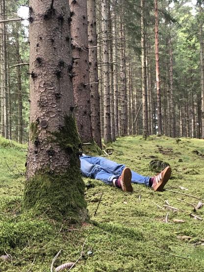 he drank the smoothie too