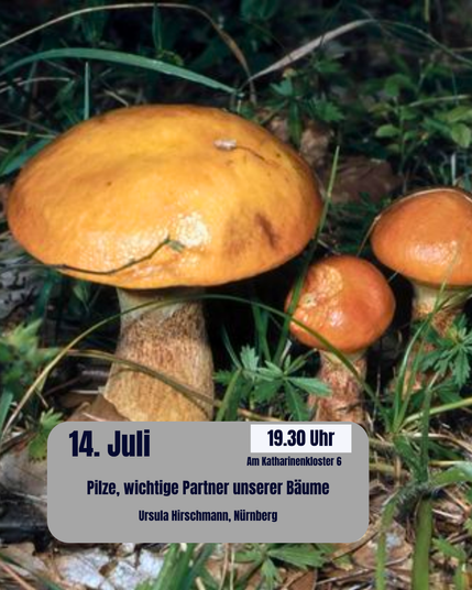 Das Bild zeigt drei orangefarbene Pilze, die im Gras wachsen. Im Vordergrund befindet sich ein großer Pilz, dahinter zwei kleinere. Der Hintergrund ist unscharf, aber man erkennt grünes Gras und Erde. Unten im Bild ist ein Textfeld mit Datum (14. Juli), Uhrzeit (19.30 Uhr), Ort (Am Katharinenkloster 6) und dem Titel „Pilze, wichtige Partner unserer Bäume“ sowie dem Namen der Künstlerin (Ursula Hirschmann, Nürnberg) zu sehen.