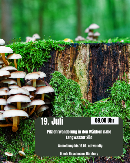 Das Bild zeigt einen mit Moos bewachsenen Baumstumpf, auf dem zahlreiche kleine, helle Pilze wachsen. Im Vordergrund steht eine Gruppe dieser Pilze, während im Hintergrund weitere Pilze auf dem Baumstumpf und im unscharfen Hintergrund des Waldes zu sehen sind. Ein dunklerer, rechteckiger Textblock am unteren Rand des Bildes bewirbt eine Pilzlehrwanderung am 19. Juli um 9 Uhr in den Wäldern nahe Langwasser Süd. Eine Anmeldung bis zum 16. Juli wird als notwendig angegeben.