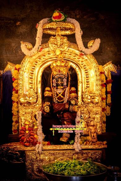 Idol of Hindu deity Krishna in brown seated in regal getup and posture: left foot planted, right leg folded at the knee and foot placed on left knee; wearing gold shoes, gold jewels, and an elaborate diamond-studded gold crown. A gold arch with broad sides behind Krishna, a small gold umbrella overhead. A dense string of white flowers over the umbrella. A large silver trough filled with green holy basil leaves on the floor in front of Krishna.
