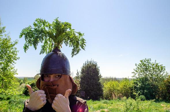 Fanes de carotte sur casque médiéval