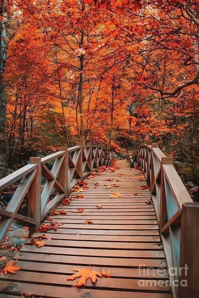 A digital art / ai image I created and edited in Photoshop of a quaint little wooden arched bridge with beautiful glowing autumn trees in the background.

By Kaye Menner
https://kaye-menner.pixels.com/featured/arched-wooden-walk-bridge-autumn-trees-by-kaye-menner-kaye-menner.html

THE FINE ART AMERICA LOGO WILL NOT APPEAR ON PURCHASED PRINTS OR PRODUCTS.