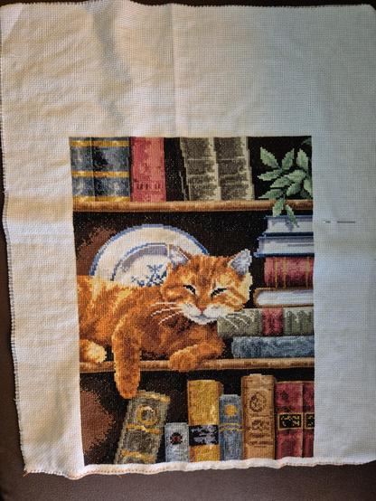 Kreuzstichbild. Das Motiv ist ein Buchregal, auf dem oben rechts eine Grünpflanze steht und in der Mitte eine gelbbraun gestreifte Katze liegt. Die Buchrücken sind mehrfarbig und wirken alt.