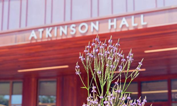 Cluster of flowers caught in front of a building with a wood panel entrance and a sign with metal letters that says ATKINSON HALL