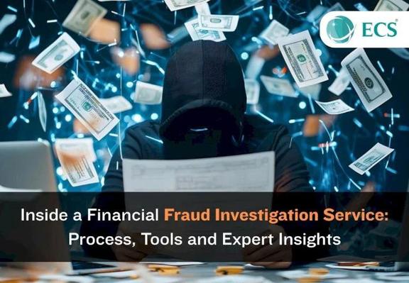 Financial Fraud Investigation Service