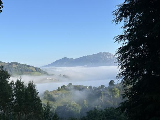 Coníferas a los lados en primer plano, hace de marco para la montaña del fondo frente a un cielo azul amanecer. En la mitad colinas con caseríos dispersos, y niebla media que cubre zonas como si fuera un mar.
