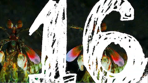 Richardson, screenshot 