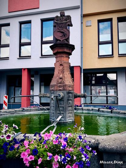 Der Engelsbrunnen in Laubach, von vorne fotografiert. Im Zentrum steht die barocke Brunnenfigur eines Engels, der das Stadtwappen hält. Umgeben ist der Brunnen von einem achteckigen Sandsteinbecken mit leuchtenden Sommerblumen in Lila, Weiß und Pink. Die Szene wirkt friedlich und einladend.